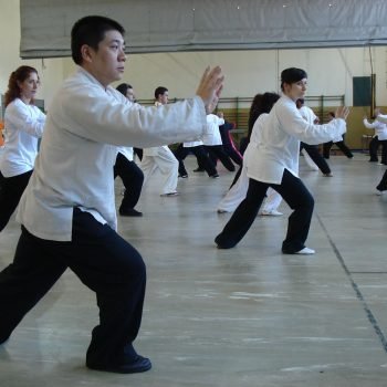 Tai Chi Tai Chi